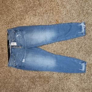 Torrid bombshell skinny